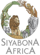 http://www.discovery-safari.com